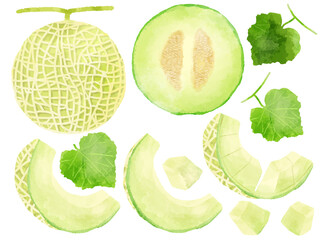 メロンのイラスト　手描き　水彩風