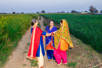 Group of Punjabi women wearing colorful traditional dress dancing together in agriculture field celebrating Baisakhi or vaisakhi festival. - obrazy, fototapety, plakaty