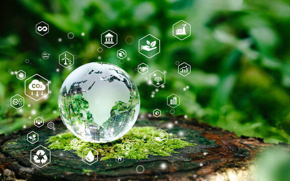 Glass globe in green forest with the icon environment of ESG, co2, circular company, and net zero.Technology Environment, society, and governance for sustainable business on green company Concept.