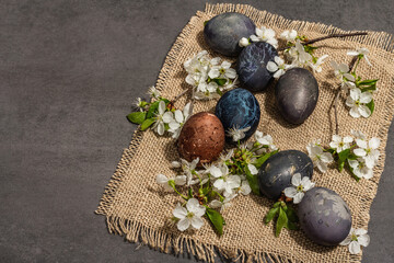 Easter eggs and blooming cherry on stone concrete background. Festive greeting card