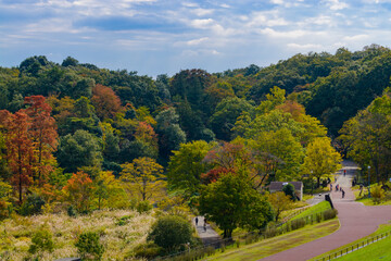 紅葉が始まりかけた色とりどりの木々