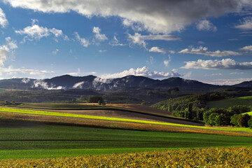 夕暮れ時の初秋の丘(美瑛町）