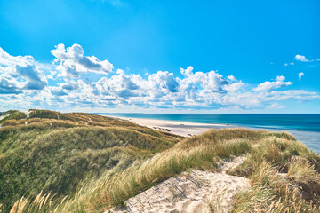 vast dunes at the coast of denmark. High quality photo - 574165393