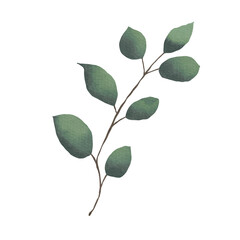 Leaves watercolor painting 