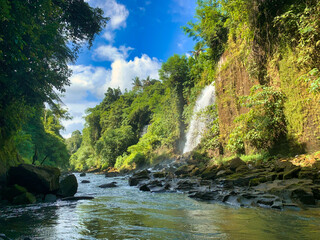 waterfall in the forest