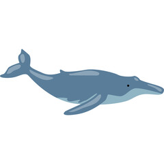 Whale Illustration-03