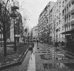 Fototapeta premium street in the city