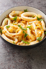 Calamares encebollados is a traditional Spanish dish made with a squid, onions, garlic, olive oil, white wine closeup on the plate on the table. Vertical