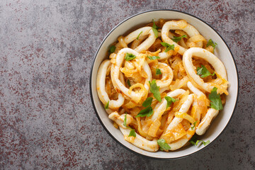 Calamares encebollados calamari rings with caramelized onions in wine sauce close-up in a bowl on...