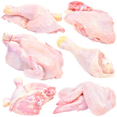 Raw chicken meat isolated