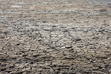Ausgetrockneter see 
