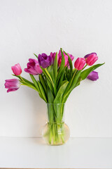 spring bouquet of red and pink tulips flowers in the glass vase 