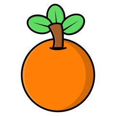 Orange fruit vector icon illustration