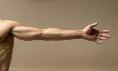 A Male Arm and Upper Body - Studio Lighting - Blank Space - Copy Text - Anatomy - Muscles 