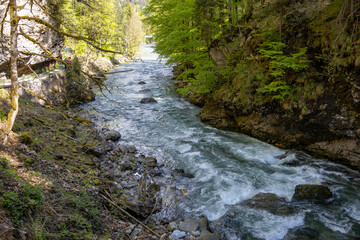 Gebirgsfluss in den Alpen von Wald umgeben 