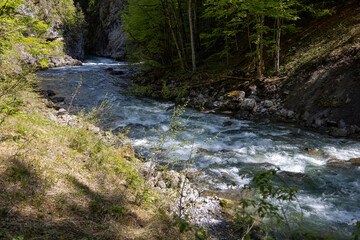 Gebirgsfluss in den Alpen von Wald umgeben 
