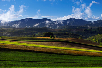 夕暮れ時の丘と湧く雲(美瑛町