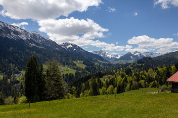 Wunderschönes Alpenpanorama mit Bergen und Wald