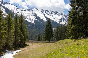 Fototapeta na wymiar Wunderschönes Alpenpanorama mit Bergen und Wald