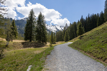 Fototapeta premium Wunderschönes Alpenpanorama mit Bergen und Wald