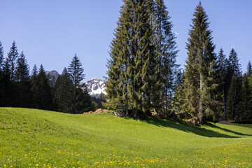 Fototapeta premium Wunderschönes Bergpanorama mit Schnee in den Alpen