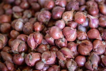 Bunch of Shallots