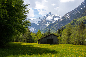 Wunderschönes Alpenpanorama mit Blumen und einer Hütte