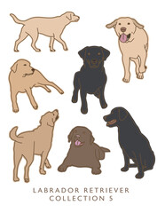 Labrador Retriever Color Illustrations in Various Poses 5