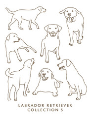 Labrador Retriever Outline Illustrations in Various Poses 5