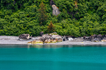 Obraz premium ハバード・グレイシャー