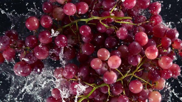 Super Slow Motion Shot of Fresh Red Grape Wine Falling into Water on Black Background at 1000 fps.
