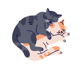 Cute hugging cats sleeping together. Funny kitties couple in love, embracing, cuddling. Adorable happy feline animals asleep, lying and dreaming. Flat vector illustration isolated on white background