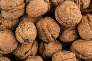 Walnut nut closeup