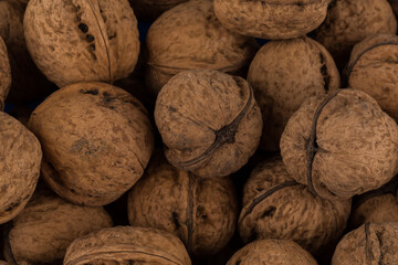Walnut nut closeup