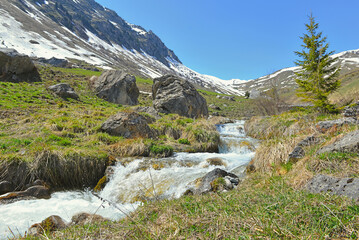 river flowing in  alpine valley with snowy peak  mountain background under blue sky