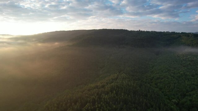 Foggy Morning, majestic woodland, drone footage of sunrise view in deep forest, image formed in the forest by daylight