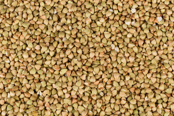 organic bio buckwheat