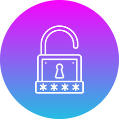 Password Key Icon