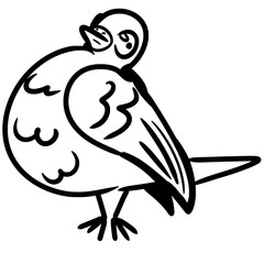 Vector drawing of a pigeon, dove. Sketch, contour,silhouette,flat,black and white.In cartoon style, hand drawn, doodle, isolated. Silly, cute, funny. Birds, animal, city, character, emotion