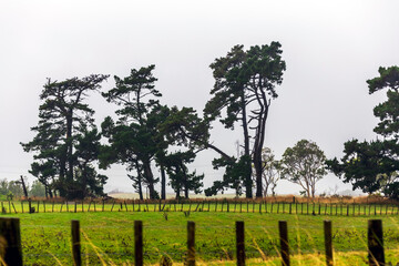 Beautiful rainy landscape in the countryside of New Zealand