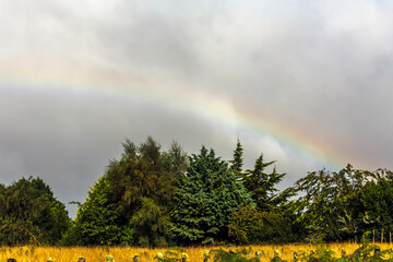 Rainbow after rain in the countryside