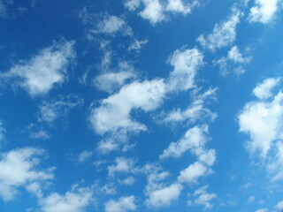 早春の青空と雲