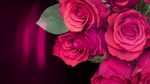 Bouquet of red roses on a black background. Time lapse, close-up. Wedding background, Valentine's day concept. There is space for text