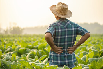 Injuries or Illnesses, that can happen to farmers while working. Man is using his hand to cover...