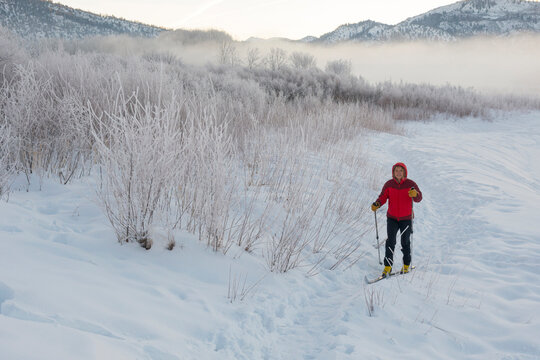 Woman cross country skiing on frosty morning along the Animas River, Durango, Colorado, USA