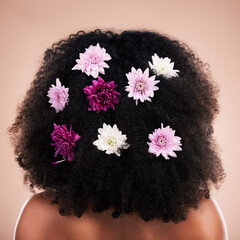 Back, hair care and beauty of black woman with flowers in studio isolated on a brown background....
