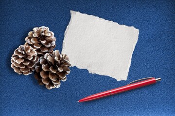word abstract blank napkin wand pine cone,