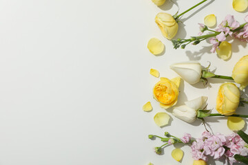 Concept of greeting, 8 march, Women's day, space for text