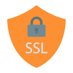 SSL Flat Multicolor Icon