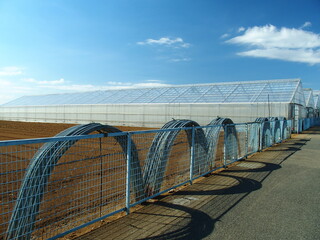 金網と農業用ハウスのある春の畑風景